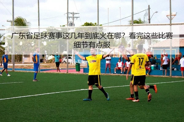 广东省足球赛事这几年到底火在哪？看完这些比赛细节有点服
